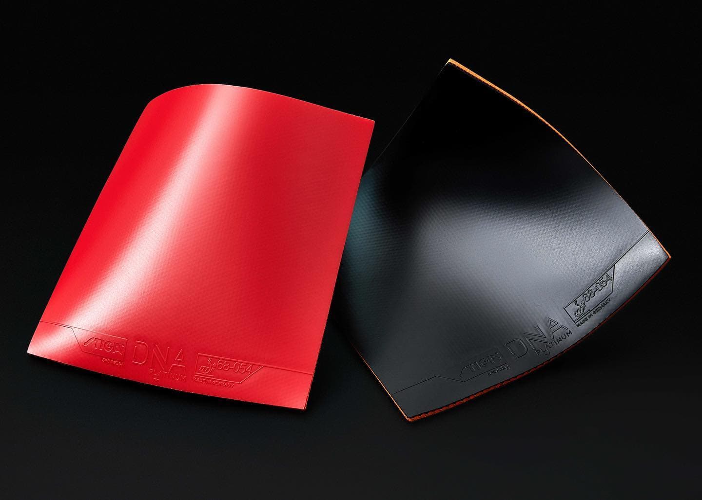 184762434_4532251676844685_1232277779146945034_n-1