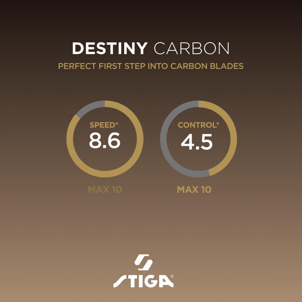 5237_a7fed49115-destiny-carbon-specs-full