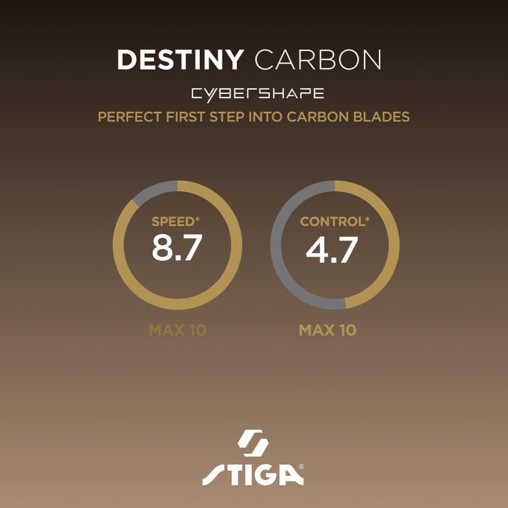 5238_6b2b75db91-destiny-carbon-cs-specs-full