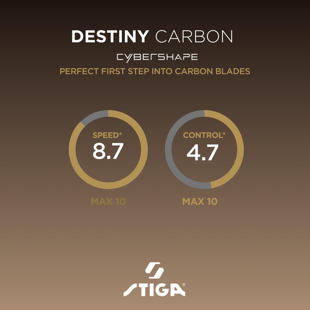 5238_6b2b75db91-destiny-carbon-cs-specs-full